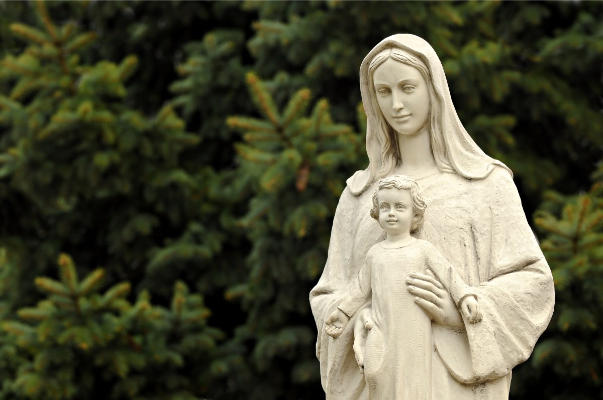 The Ordination Of Women In The Catholic Church Manifesto For A Lay Pope